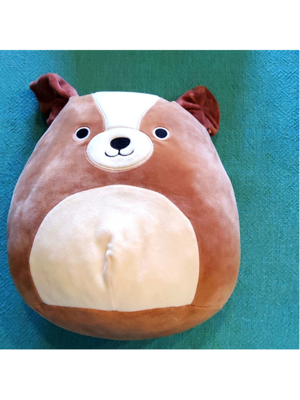 Squishmallows 12” Bernie St Bernard Dog